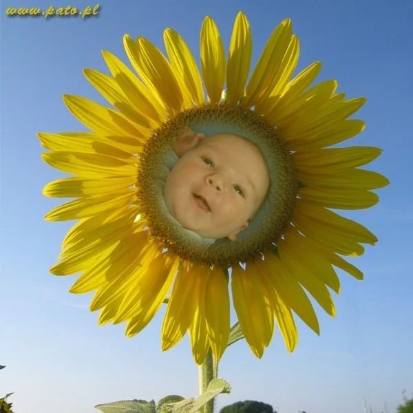 Zdjęcie z galerii