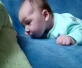 Zdjęcie z galerii